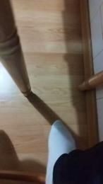 pollon531 webcam model stream image