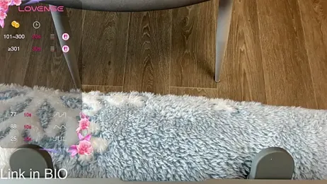 tinykisa webcam model stream image