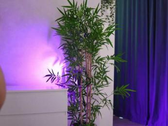 ArtTeasee webcam bongacams model stream image