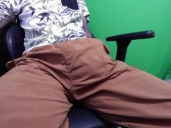 thevulvaaddict webcam model stream image