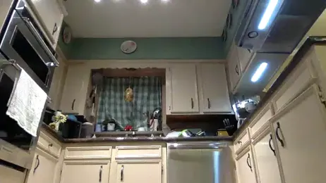 superbearboss webcam model stream image