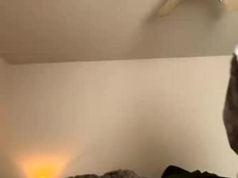 rexzaneraw webcam model stream image