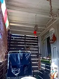 frenchblackc31 webcam model stream image