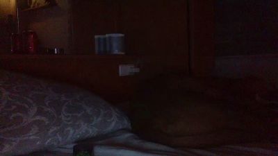 gorka19hot webcam model stream image