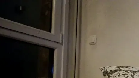 Donostiipar webcam model stream image