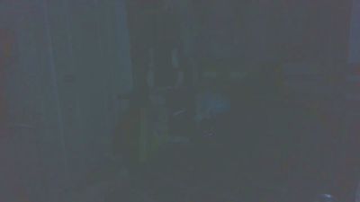 boost2469 webcam model stream image