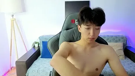 DianInav webcam model stream image