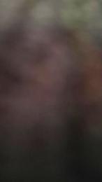 SiccVicc69 webcam model stream image