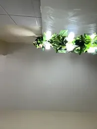 AlisaWhite webcam model stream image