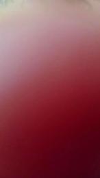 jolydon4 webcam model stream image