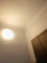 kotkite webcam model stream image