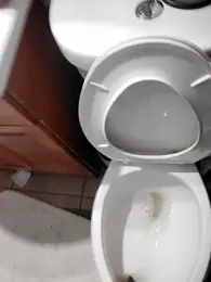 Painstickwes webcam model stream image