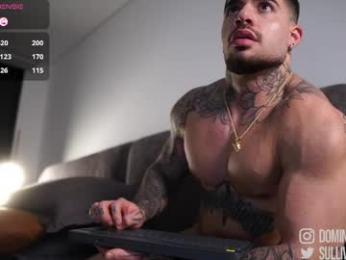 dominic_sullivan1 webcam chaturbate model stream image