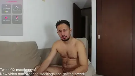 maxdoggy1 webcam model stream image