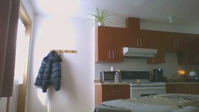 Tes0r0James webcam model stream image