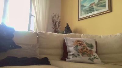 martinabigst webcam model stream image