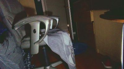 beausim3 webcam model stream image