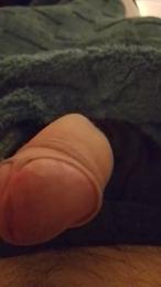 cosmo831 webcam model stream image