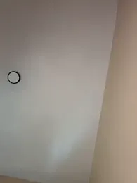 JuicyJamaican webcam model stream image