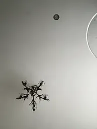 Michel_huge webcam model stream image