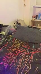 Littlesecret1 webcam model stream image