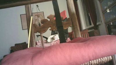 vecchioporco7 webcam model stream image