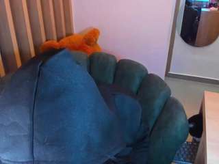 teerry webcam model stream image