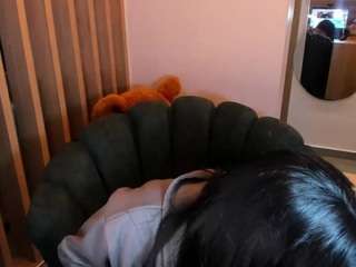 teerry webcam model stream image