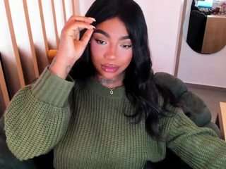 teerry webcam model stream image