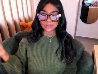 teerry webcam model stream image