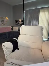 bossyroxy84 webcam stripchat model stream image