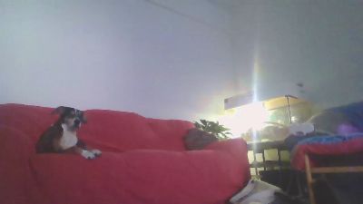 zena_xxx webcam cam4 model stream image