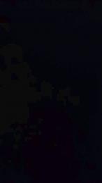 vogliadi6 webcam model stream image