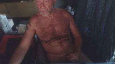 ptibear1 webcam model stream image