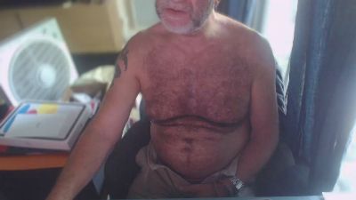 ptibear1 webcam model stream image