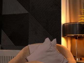_keti_ webcam model stream image