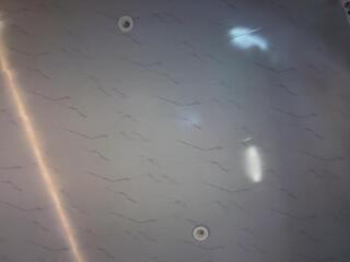 Alisson Bonnet webcam model stream image