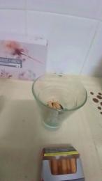 Falisan webcam cam4 model stream image