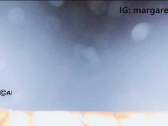 _Honey_Pot_ webcam model stream image