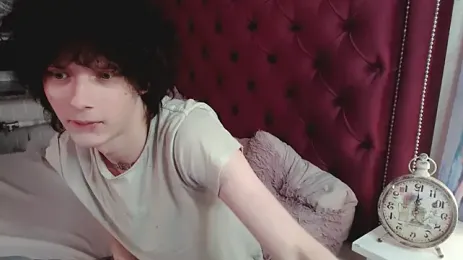 metlVV webcam model stream image
