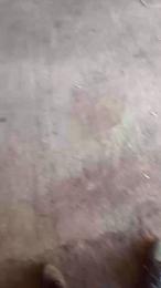 corn104 webcam model stream image