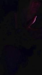 Susi1978 webcam model stream image