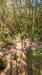 Joueurh webcam model stream image