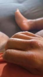 Gallumbero2 webcam cam4 model stream image