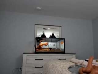 surecakes webcam model stream image
