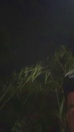 Outdoorsd webcam model stream image