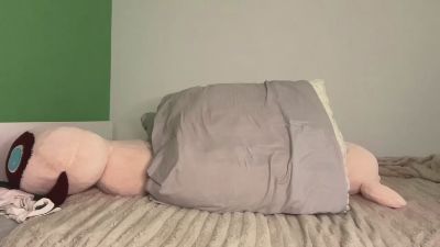 AftonFountain webcam model stream image