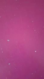 alge18 webcam model stream image