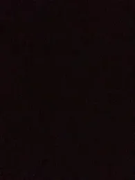 dzshbh2005 webcam model stream image
