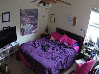 voyeurcam-hornyhostel-01 webcam model stream image